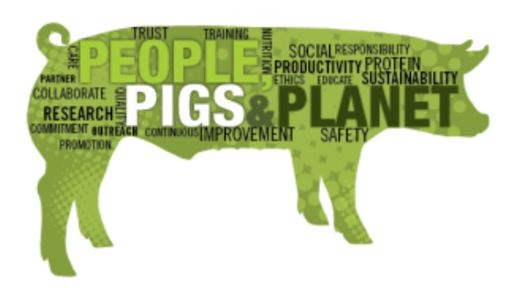 2020 National Pork Board Strategic Plan Focused on People, Pigs and Planet 