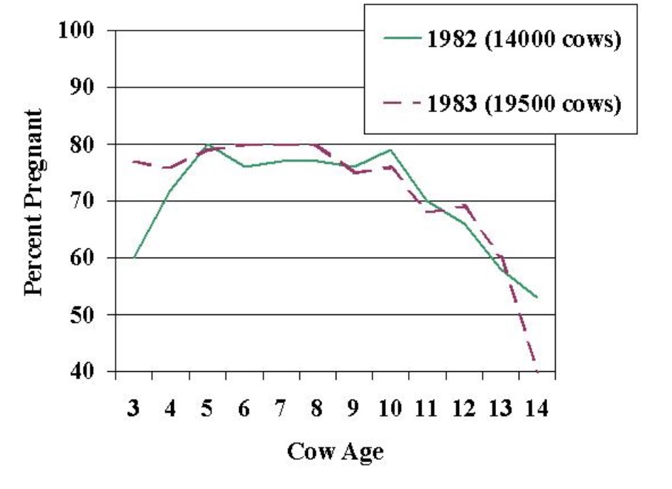 Selk Address Cow Age and Cow Productivity 