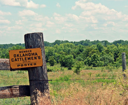 WOTUS Comments Submitted by Oklahoma Cattlemen Call Rule Egregious Overreach by Feds