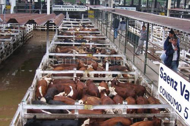 TSCRA Submits Comments Opposing Importation of Beef from Northern Argentina