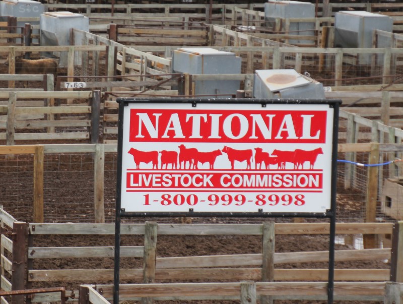 National Livestock CEO Looks Back at Unprecedented Year