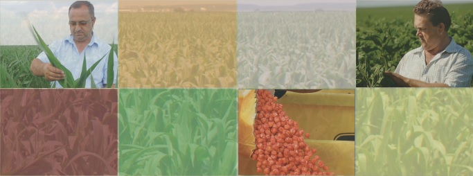 Monsanto Highlights Innovations For Sustainable Agriculture And Food Security