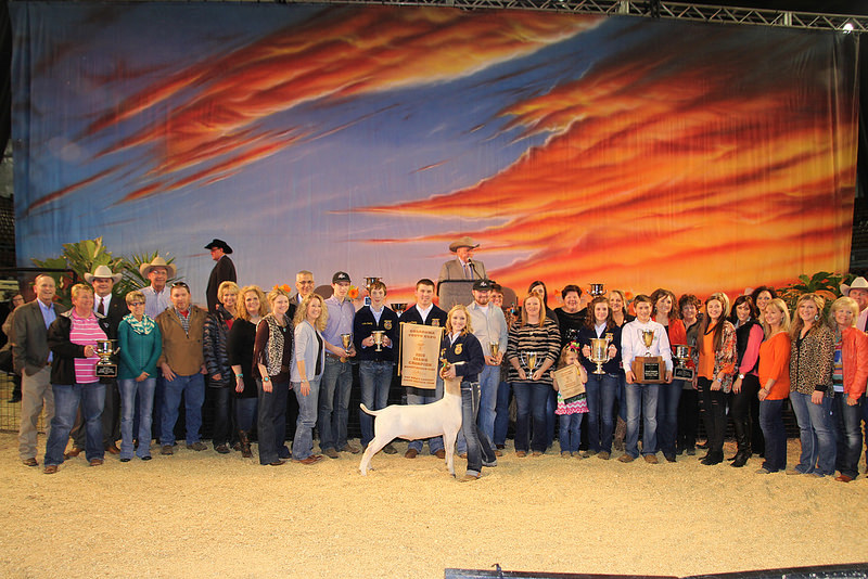 Oklahoma Youth Expo Celebrates 100th Birthday by Selling the Grand Champion Goat for $27,500