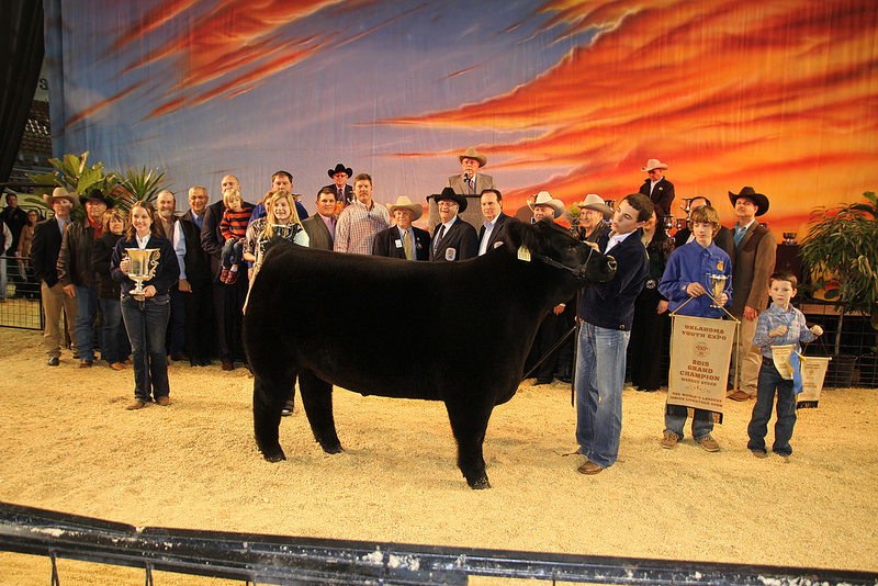 Oklahoma Youth Expo Celebrates 100th Birthday by Selling the Grand Champion Steer for $101,000
