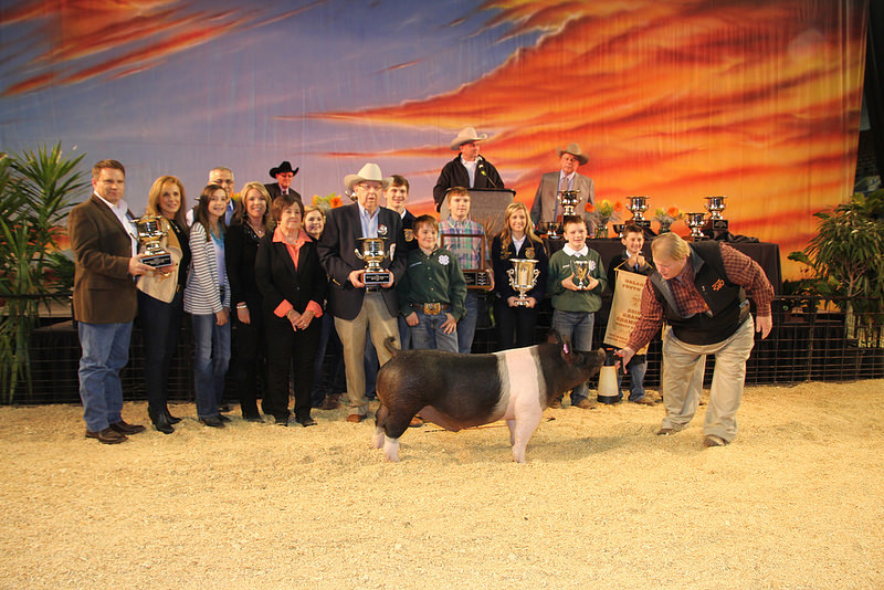 Oklahoma Youth Expo Celebrates 100th Birthday by Selling the Grand Champion Barrow for $50,500