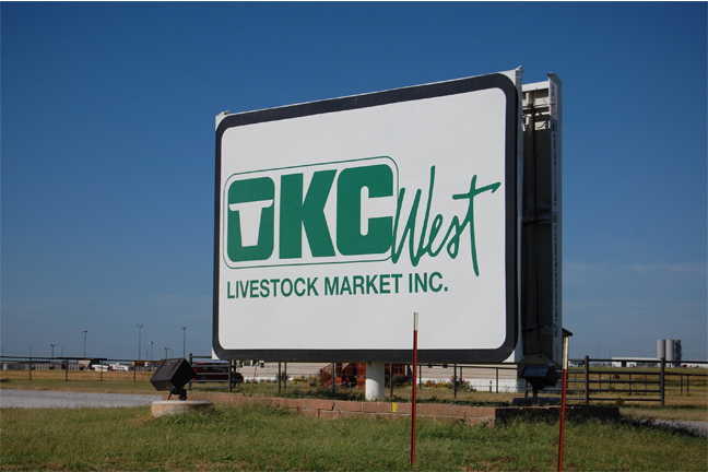 OKC West-El Reno Livestock Auction - Close