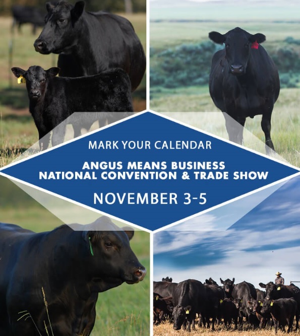Looking Ahead: 2015 National Angus Convention