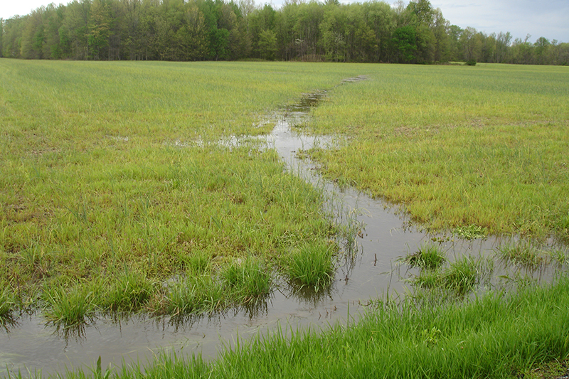 Oklahoma State Senate Ag Committee Chair Backs State AG's Plans to Challenge WOTUS Rule