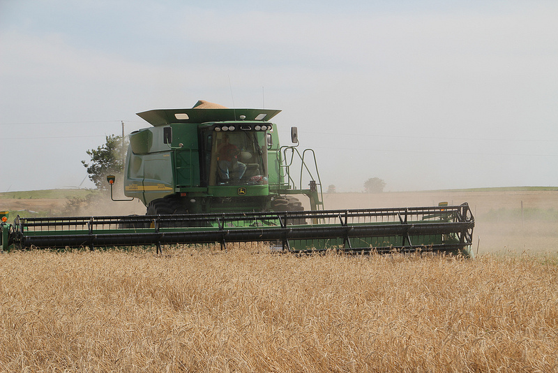 Wheat Producer Don Schieber Concerned About Test Weights as He Cuts Wheat in SW Oklahoma