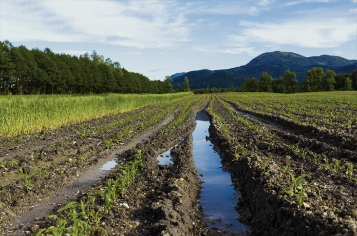Farm Bureau Says Final Version of Clean Water Rule- WOTUS- is Worse Than Original
