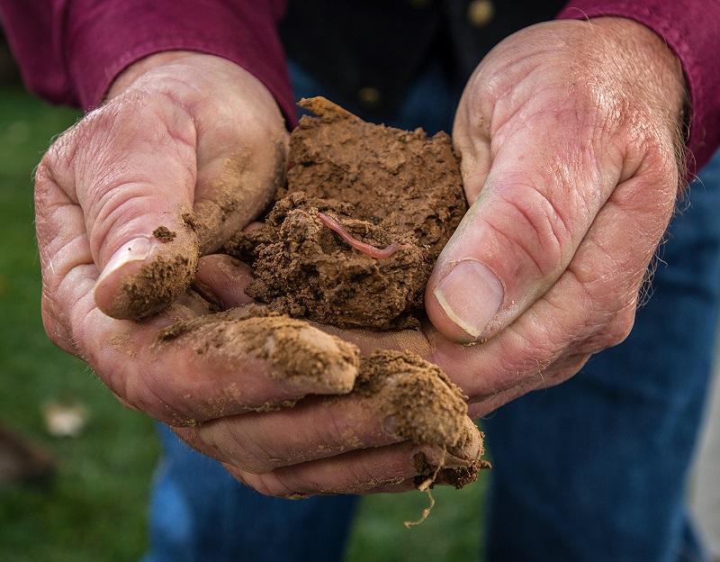 ITC Great Plains Invests in Oklahoma Healthy Soils Project
