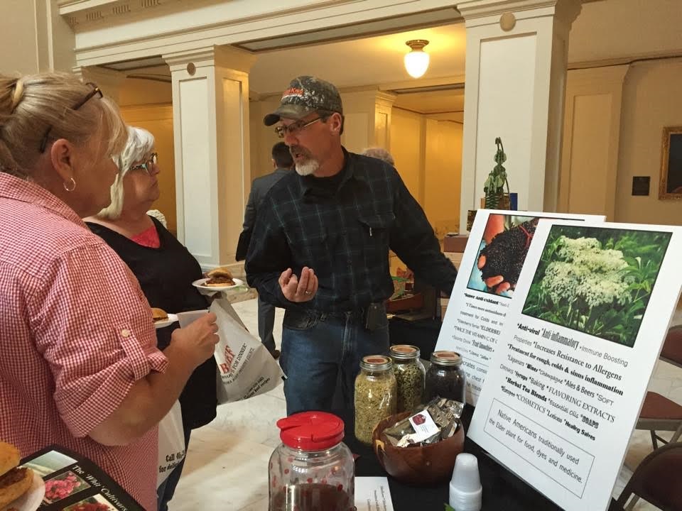 Oklahoma Farm Sheds New Light on Native Elderberry Plants