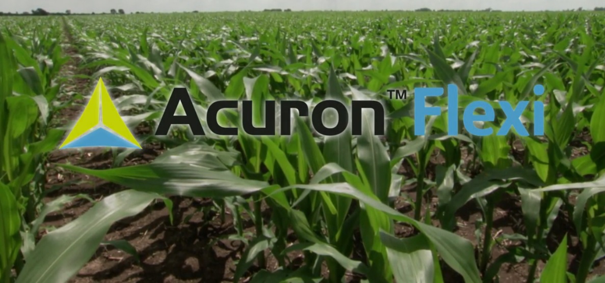 Acuron Flexi Newest Syngenta Corn Herbicide, Offers Pre and Post Emergence Residual Control 