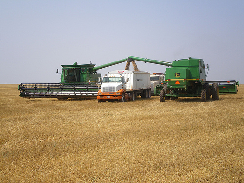 Southern Plains Wheat Harvest Nearly Complete, Row Crops Showing Improvement 
