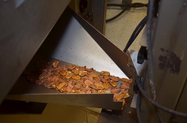 Public Hearing for Pecan Growers This Month on Regulating the Handling of Pecans 