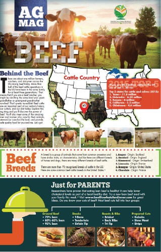 New 'Ag Mag' Helps Students Beef Up Food Production Knowledge