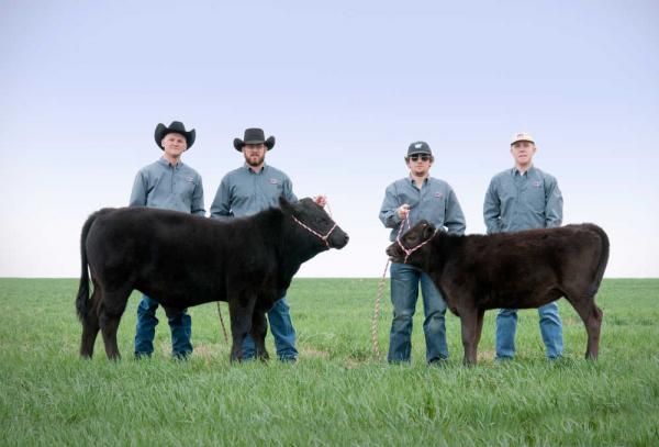 Building a New Beef Breed- Backwards- The Dream of Meat Scientist Ty Lawrence