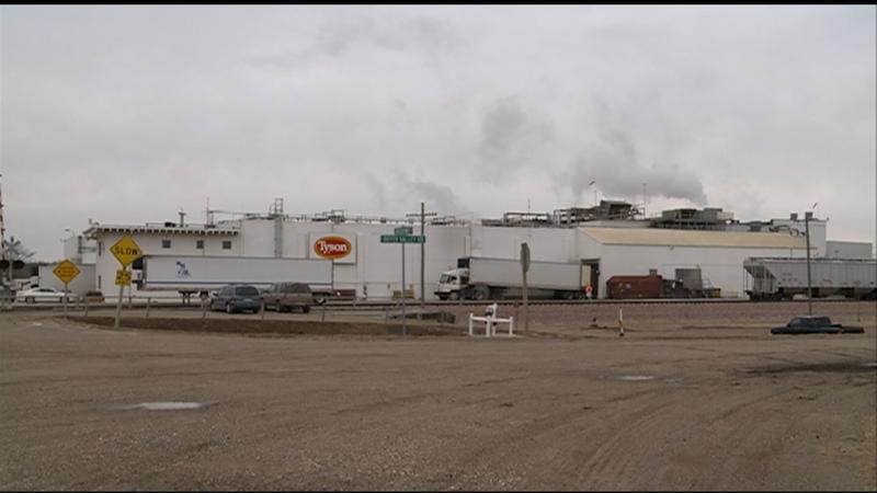 Tyson Says Not Enough Cattle- and Announce Closure of Dennison, Iowa Beef Plant