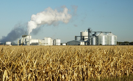 USDA Announces Incentives to Establish Biomass Crops, Enrollment Underway