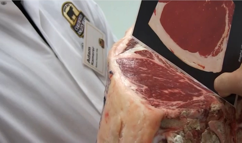 Angus and DNA Traceability Offers a Winning Combination
