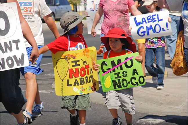 State Lawmakers Ask Congress to Oppose H.R. 1599, a Bill to Preempt State GMO Labeling Laws