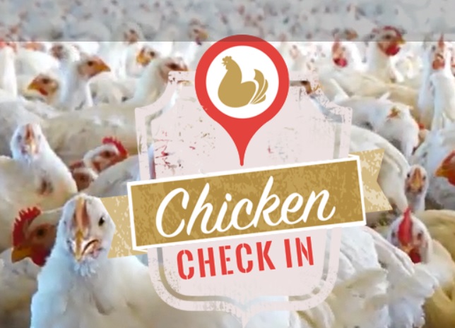 National Survey Shows 80 Percent of Americans Believe Chicken Contains Added Hormones 