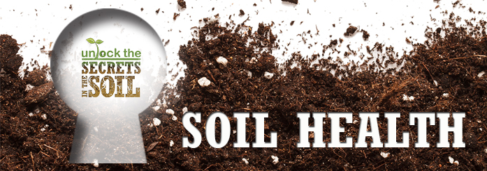 Noble Foundation Helps Birth Soil Health Institute Ahead of World Soil Day This Saturday