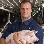 Zoetis Collaborates with the National Pork Board to Extend Access to its Pig Care Training Program
