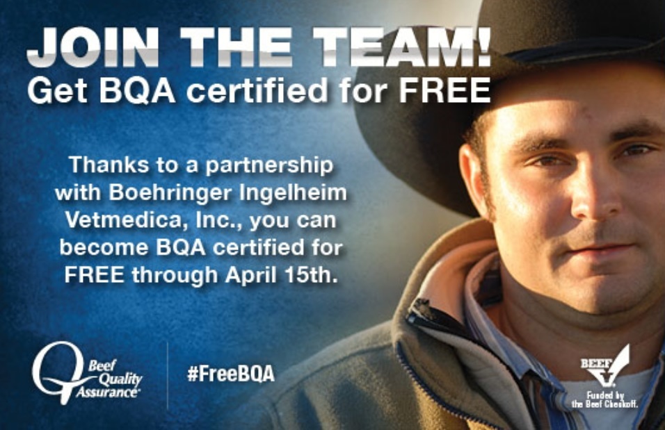Free Beef Quality Assurance (BQA) Training Offered Through April 15