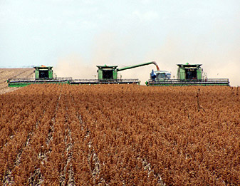 Oklahoma Closing Grain Elevator Cash Bids forTuesday, February 16, 2016