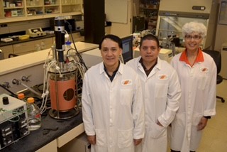 OSU Research Helping Poultry Industry Grow a Healthier Bird