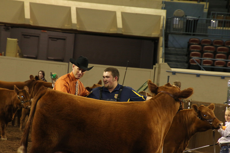 Colt Cunningham of the Locust Grove FFA Wins Supreme Purebred Heifer With His Champion Limousin at the 2016 OYE