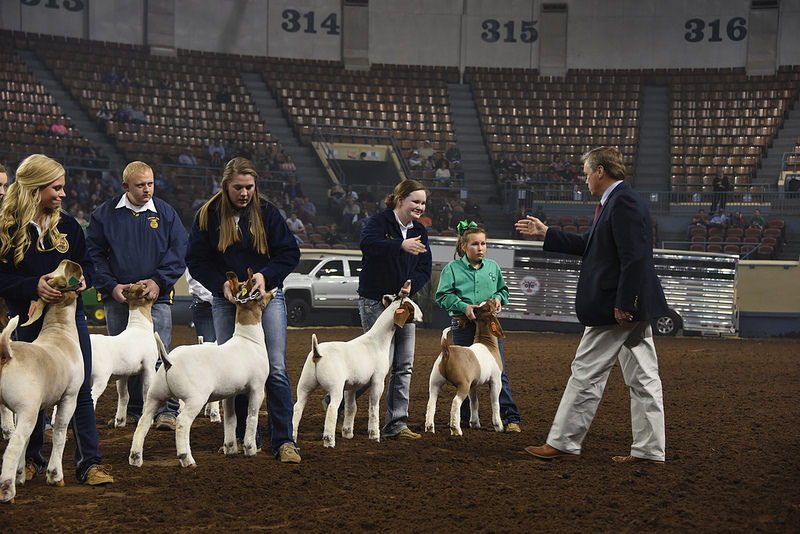 Megan Greathouse of Fort Gibson FFA Shows Grand Champion Market Goat at 2016 OYE