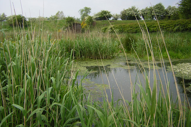 USDA Seeks Wetlands Project Partners in Oklahoma