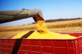Lowered Demand Estimates Result in Decreased Projected Corn Price