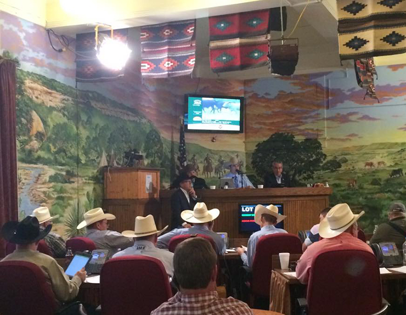 Superior Livestock Offering 28,000 Head During May 20 Sale
