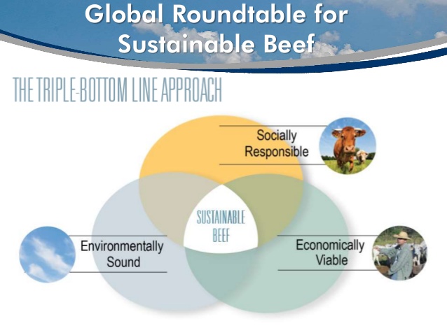 Global Roundtable for Sustainable Beef to Focus on Continuous Improvement in Beef Sustainability in New Five Year Plan