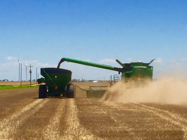Wheat Commission Says Oklahoma Wheat Harvest Reaches Sixty Percent Complete