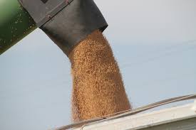 National Corn and Soybean Numbers Look Strong as Wheat Harvest Rolls On Through the Plains 