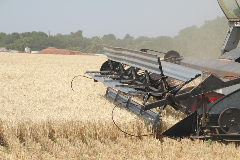 Harvest Heats Up- Oklahoma Wheat Commission Calls Harvest Twelve Percent Complete as of Midday Monday