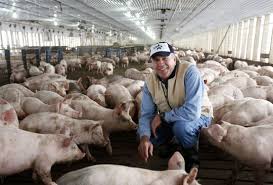 U.S. Pork Needs Exports; TPP Would Boost Them