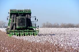 Plains Cotton Growers Commends USDA for Providing Assistance to Cotton Producers