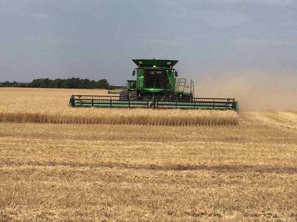 Oklahoma Wheat Harvest Edges Forward- Wheat Commission Now Says State is 68% Complete