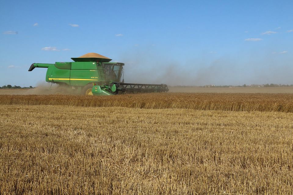 Wheat Harvest Moving Quickly in Much of the Oklahoma Wheat Belt