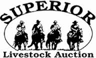 Superior Livestock's Week in the Rockies Sale Starts Monday, July 11