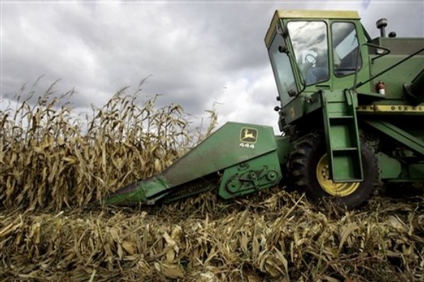 Prices Fall as Production Reaches Record Levels for US Corn