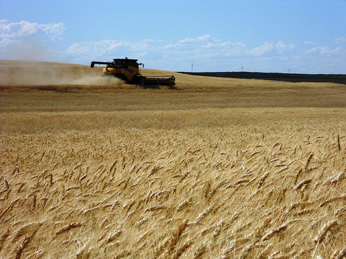 US Wheat Associates Keeping American Wheat Competetive in Global Trade