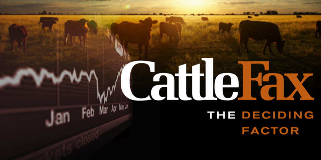 CattleFax Presents Webinar Focused on Cow-Calf Industry