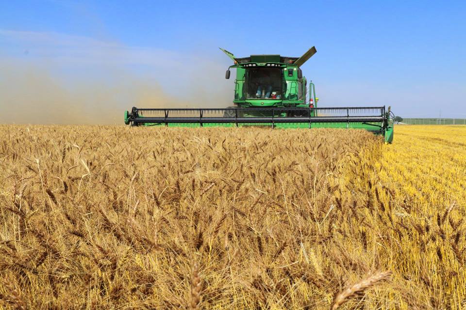 2016 Hard Red Winter Wheat Harvest Almost Complete- Plains Grains