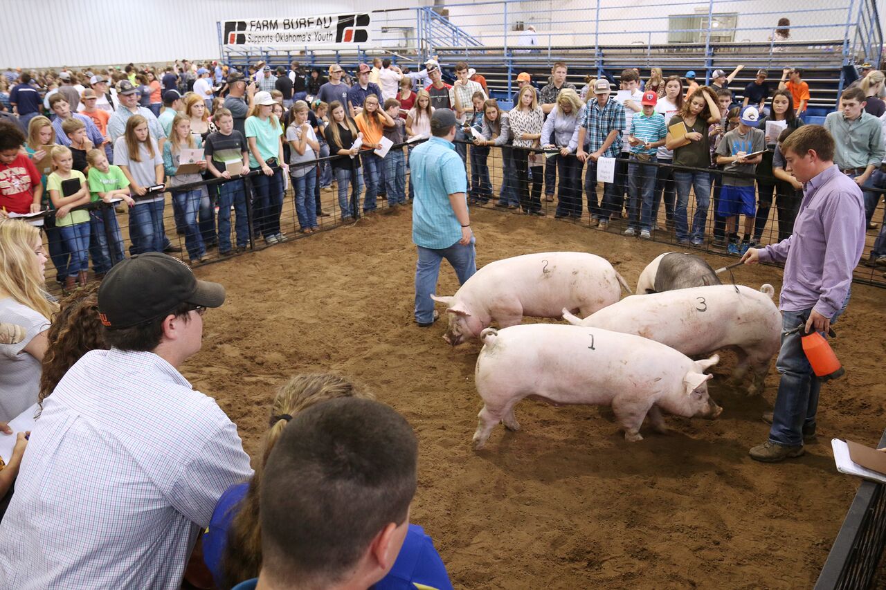 Weatherford FFA and Stephens County 4-H Have Top Teams at 2016 State Fair of Oklahoma Livestock Judging Contest